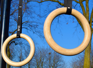 Gymnastic Rings