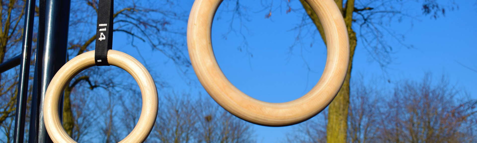 Gymnastic Rings Gymnastic Rings